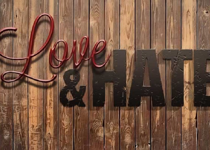 What I Like and Hate About the Church