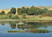 By the Rivers of Babylon