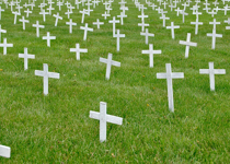 Some Mass Murders Don't Matter