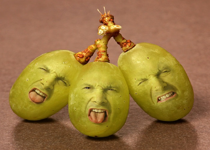 Newsweek's Sour Grapes