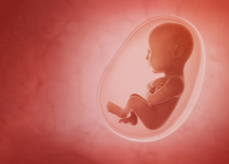 Celebrate the End of Roe