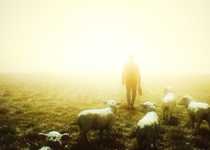 Now, Take the 23rd Psalm for Instance...