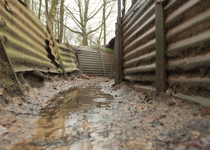 The View From a Trench