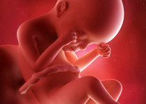 Tell Senators to Choose Life and Nuke Filibuster