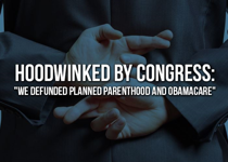 Hoodwinked by Congress