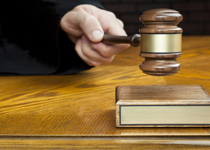 We Believe in the Rule of Law-It's the Federal Judges Who Don't