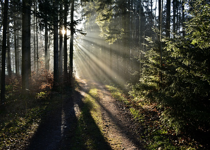 Clearing a Path to See God Better