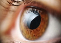 The Burning Eyes of the Lord Jesus
