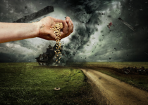They Have Sown the Wind