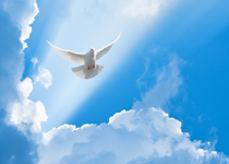 Salvation by Works?
