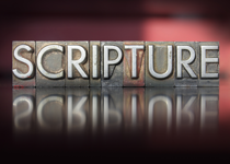God's Word at Work and on Display