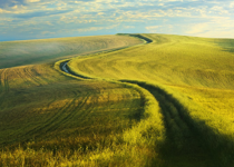 Following God's Lead by Following His Will