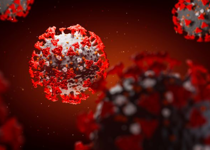 A Transgender Perspective on COVID-19