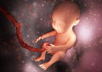 The Bible, Life, and Abortion