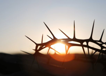 God's Riches At Christ's Expense