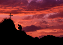 The High Cost of Disobedience