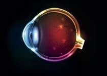 An Eye for Evidence