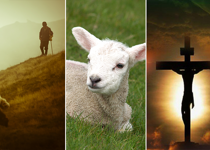 A Shepherd, a Lamb, and a Savior