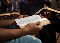 God's Word: Three Chapters a Day
