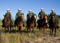 Tell Biden to Apologize to Border Patrol Agents