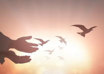 Worship and the Revolution of Righteousness