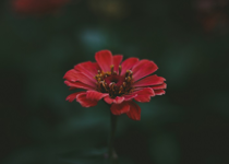 5 Signs of Spiritual Growth