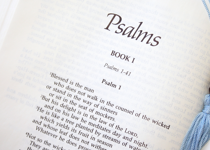 Biblical Counsel for the Year Ahead (Part 2)