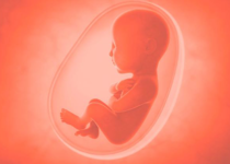 Death Culture in Senate Threatens the Unborn