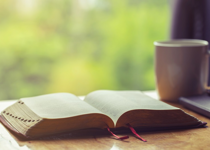 Small Steps Daily Devotions for April 11-17