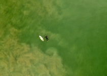 How to Stay Afloat in a Sea of Distractions