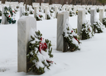 Some Gave All - Honoring Veterans on Memorial Day