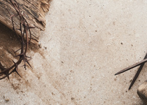 The Church Thrives in Persecution