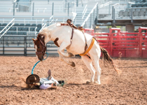 Word Wrangling: The Preachers' Rodeo Event
