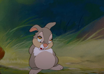Wisdom from a Cartoon Rabbit