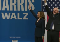 Harris/Walz Is the Ideal Groomer Ticket