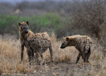 Someone Is Rocking the Boat? Good.