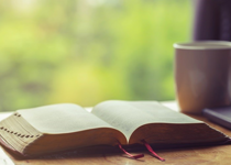 Small Steps Daily Devotions for Dec. 12 - 18