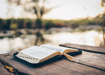 Three Environments Where God Grows