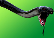 Hope for the Serpent-Crusher