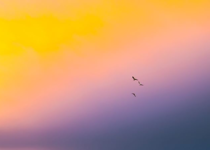 Living in the Reality of the Unseen