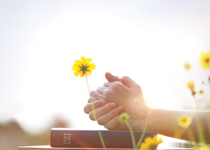 Prayer in action
