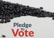 Pledge to Vote