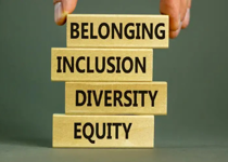 Diversity, Equity, and Inclusion: A Truthful Definition
