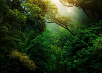 Radical Biblical Humility