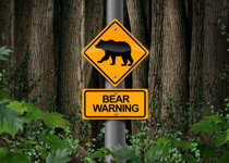 Heed the Warning Signs