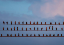 Mediocrity: Be Anything Other Than This!