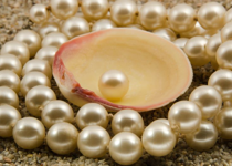 Priceless Pearls, Priceless Principles