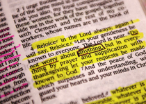 Please Write in Your Bible