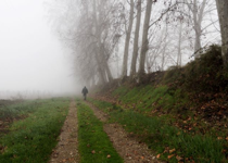 The Surprises of the Prodigal Son