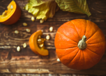 Pumpkin Seed Faith